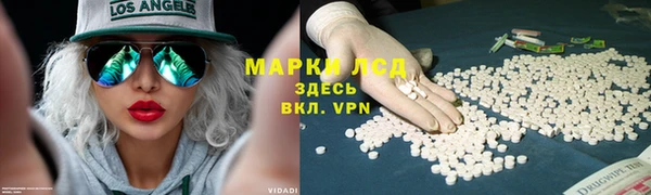 ешки Бородино
