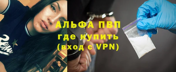ешки Бородино