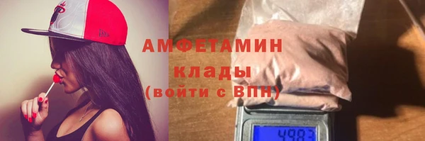 прущие грибы Бугульма