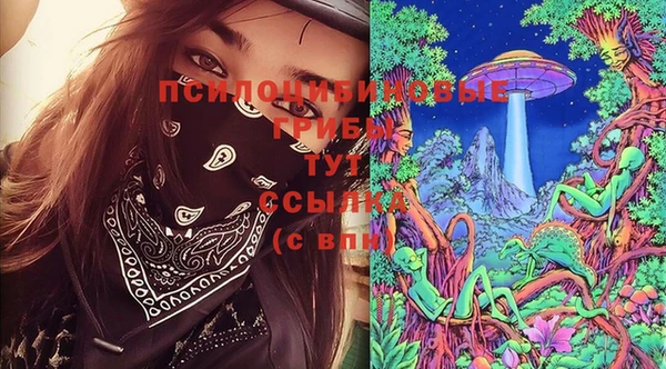 прущие грибы Бугульма