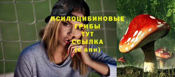 ешки Бородино
