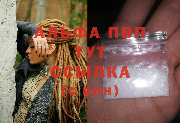 ешки Бородино