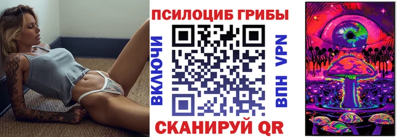 площадка как зайти  Грозный  Псилоцибиновые грибы GOLDEN TEACHER 